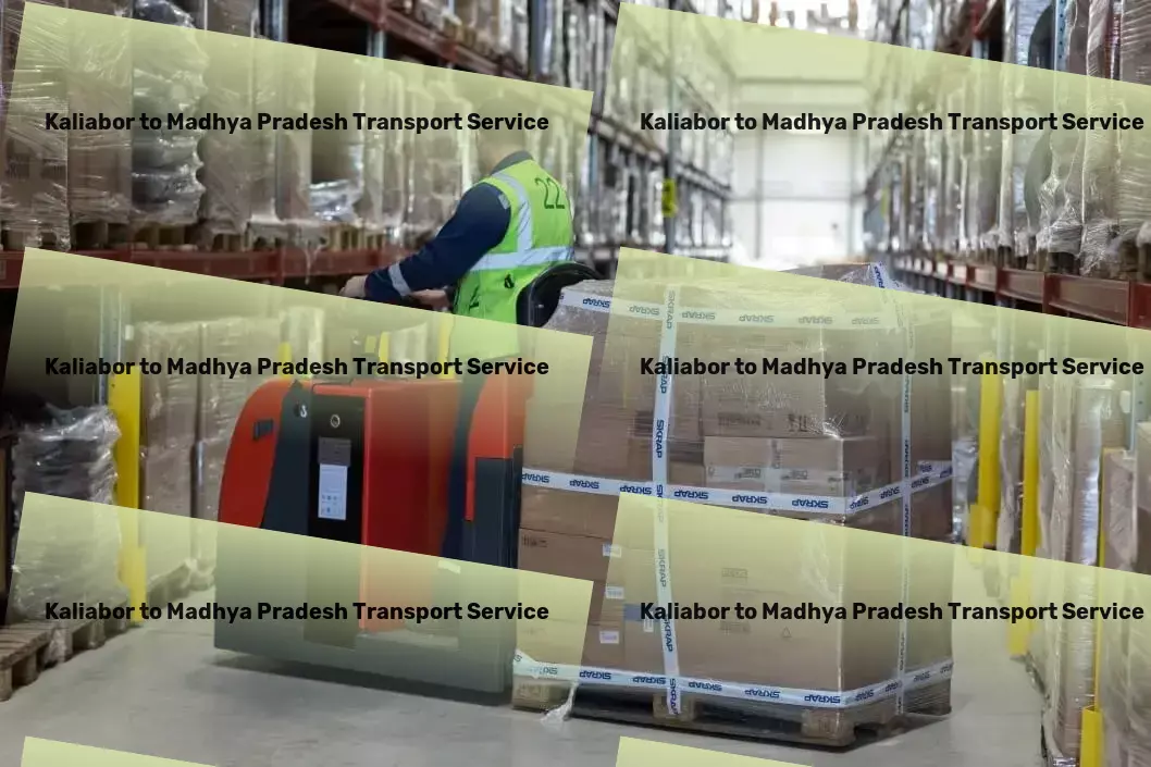 Kaliabor to Madhya Pradesh Bike Transport And Scooty Courier High-speed goods shipment services