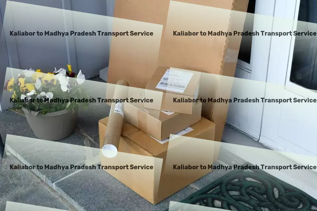 Kaliabor to Madhya Pradesh Bike Transport And Scooty Courier Nationwide goods shipping